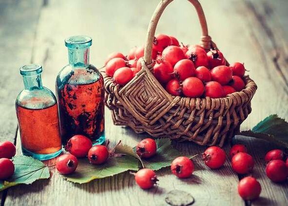 Früchte von Hawthorn, um ein Mitglied zu erhöhen