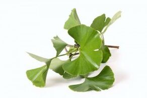 Ginkgo biloba zur Penisvergrößerung